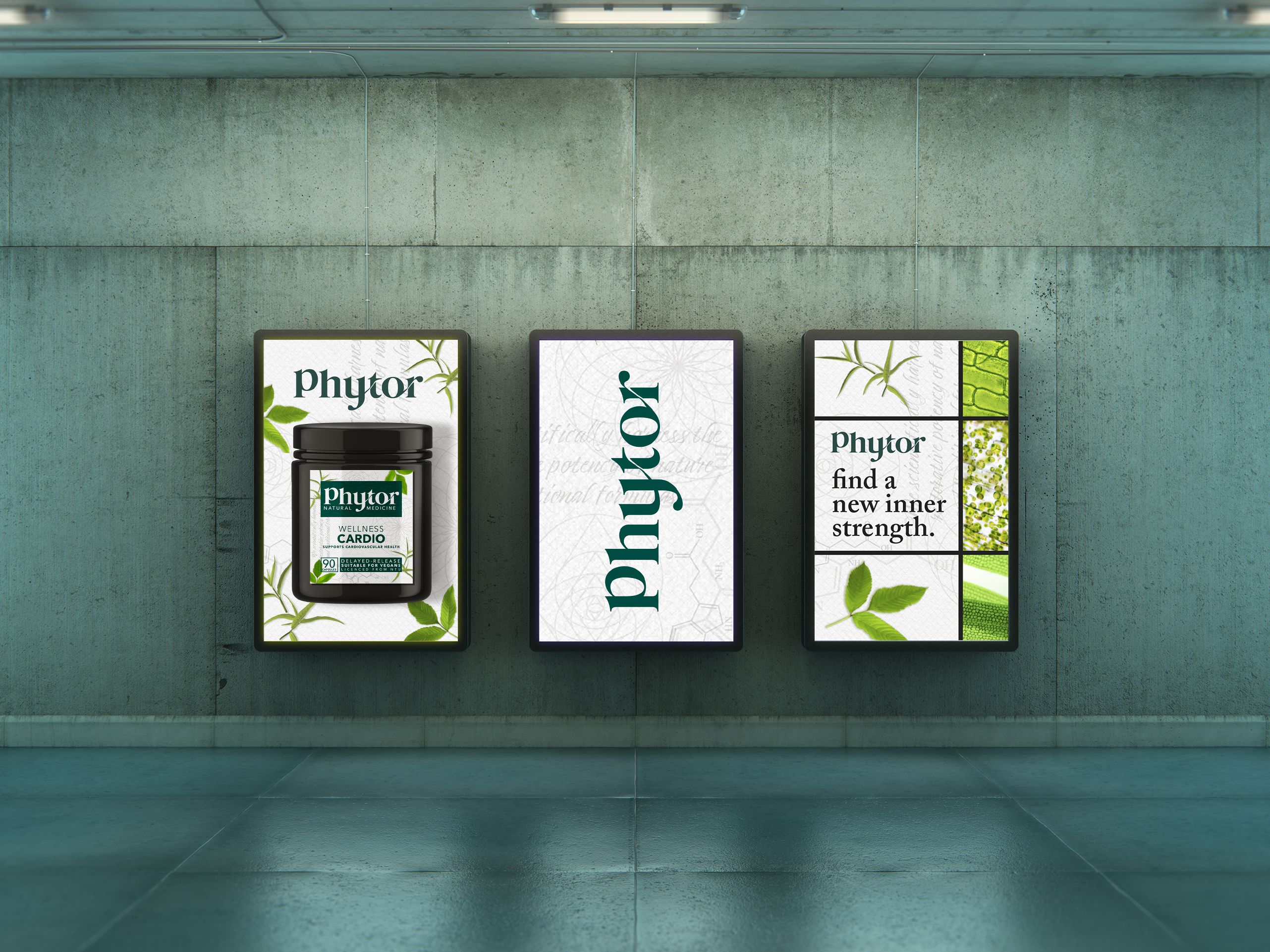cover of project